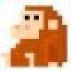 orangutan