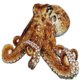 octopus1970