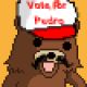Pedro_Bear