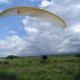 Paraglider