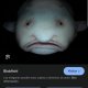 el_webboy