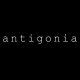 antigonia