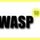 wasp17