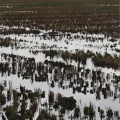 55.000 toneladas de paja de arroz se pudren en la Albufera