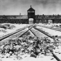 Aparecen en un piso de Berlín los planos originales del campo de concentración de Auschwitz