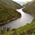 Una federación ecologista recién creada se lleva la mitad de las ayudas públicas gallegas
