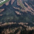 Los bosques canadienses contribuyen al cambio climático emitiendo más CO2 del que absorben [ENG]