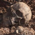 Arqueólogos hallan en Armenia un cerebro de seis mil años de antigüedad