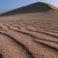 Fuerteventura: Próxima reserva de la biosfera