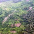 Un vecino de Alzira planta un campo ecológico en el Congo para acabar con el hambre en África