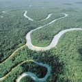 La deforestación de la selva amazónica cae un 82% por la crisis