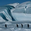 El viaje del pingüino emperador... hacia la extinción