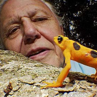 David Attenborough revela que recibe correos amenazadores por no citar a Dios en sus documentales (ENG)