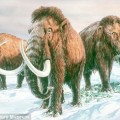 Descubren en cementerio de mamuts una bacteria beneficiosa para la actividad sexual y que podría alargar la vida [Eng]