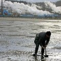 Denuncian a Galicia ante la UE por contaminar los mares con mercurio