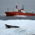 Una plataforma de 14.000 kilómetros cuadrados se desprende de la Antártida