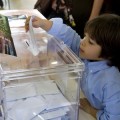 Rebajar la edad de votar de 18 a 5 años no altera el resultado de las elecciones