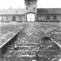 Ser niño en Auschwitz