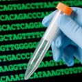 Crean un sistema artificial de ADN con 12 bases en vez de las clásicas G A T C (ING)
