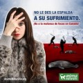 ¡Anima al gobierno de España a posicionarse contra la caza de focas!