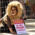 Un grupo ecologista protesta encerrando a un niño disfrazado de león ante el Zoo de Barcelona