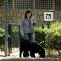 Al menos siete perros mueren envenenados en varios parques de Barcelona