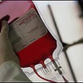¿Qué le ocurre al ADN del donante en una transfusión de sangre?