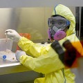 La OMS descarta que el virus de la gripe saliera de un laboratorio