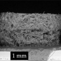 Ingenieros del MIT crean nuevo andamiaje de tejidos que estimula el crecimiento de cartílago y hueso (ING)