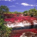 Fotos del río más hermoso del mundo, Caño Cristales en Colombia