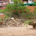 El Ayuntamiento de Madrid arrasa con excavadoras el proyecto ‘Esto es una plaza’