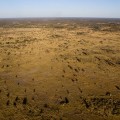 Okavango, el río que convierte en oasis el desierto
