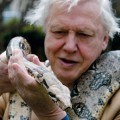 David Attenborough gana el Príncipe de Asturias de Ciencias Sociales