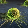La combinación de dos terapias biológicas consigue detener el cáncer de pulmón sin necesidad de quimio