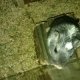 Yinyan_García