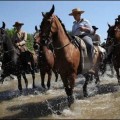 El Rocío se salda este año con 23 caballos muertos