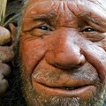 10 creencias erróneas respecto a los Neanderthales [EN]