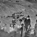 Exhuman los restos de 18 milicianos en Granada que huían de las tropas fascistas de Málaga hacia Almería
