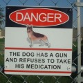 ¡Cuidado con el perro!