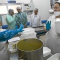 El 65% de la comida del hospital de Zamora acaba en la basura
