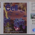 Hallan un compuesto capaz de eliminar única y exclusivamente las células madre cancerígenas