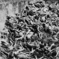 L´Osservatore Romano acusa a EEUU y Gran Bretaña de conocer la existencia del Holocausto y no hacer nada