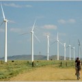 España podría ser líder mundial en energías renovables para 2050