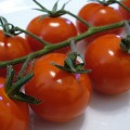Tomates fertilizados con orina producen 4 veces más [ENG]