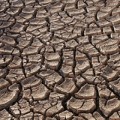 Texto con sorpresa: La Tierra se seca