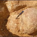 Encuentran cientos de huevos de dinosaurio en la India [ENG]