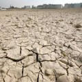 Advierten que en 2025, sequía podrá afectar casi un 70% del planeta