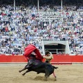 La revista Time se hace eco de la posible prohibición de los toros en Cataluña [Eng]