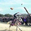 Los quintos que mataron a una burra a palos se ofrecen para trabajar contra el maltrato animal