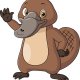 platypu